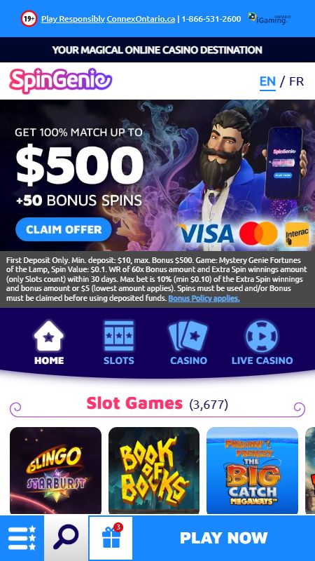 Online SpinGenie homepage